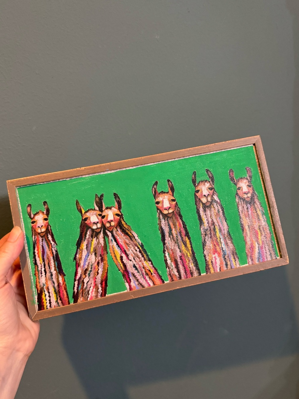 Eli Halpin “Six Lively Llamas - Tribal” Framed Canvas Art 10x5”